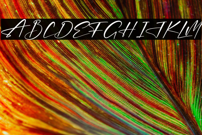 Thomson Signate Example 1