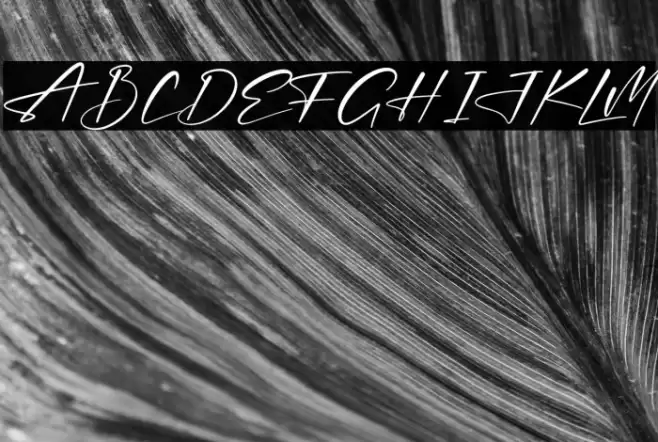 Thomson Signate Font examples