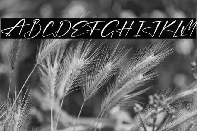 Thomson Signate Font examples