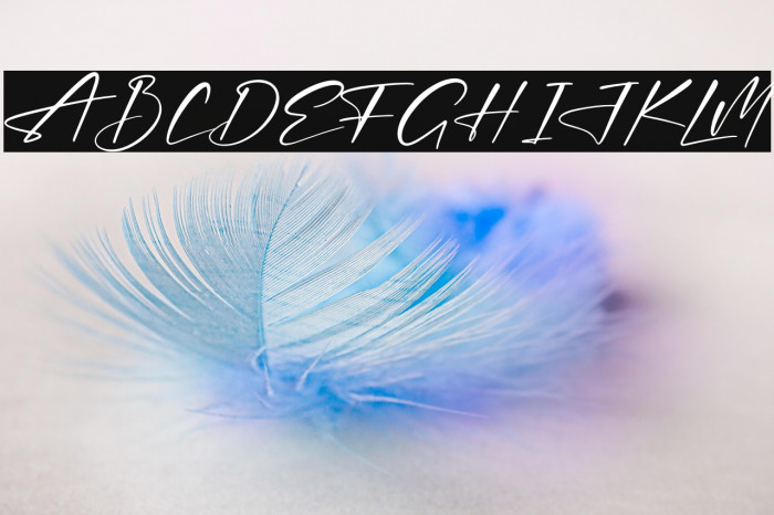 Thomson Signate Example 3