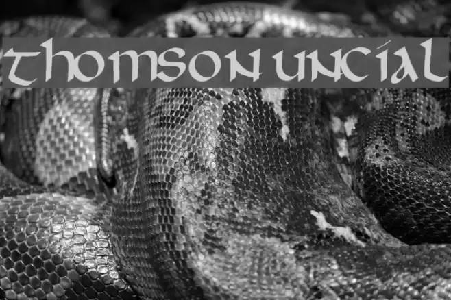 Thomson Uncial Font examples