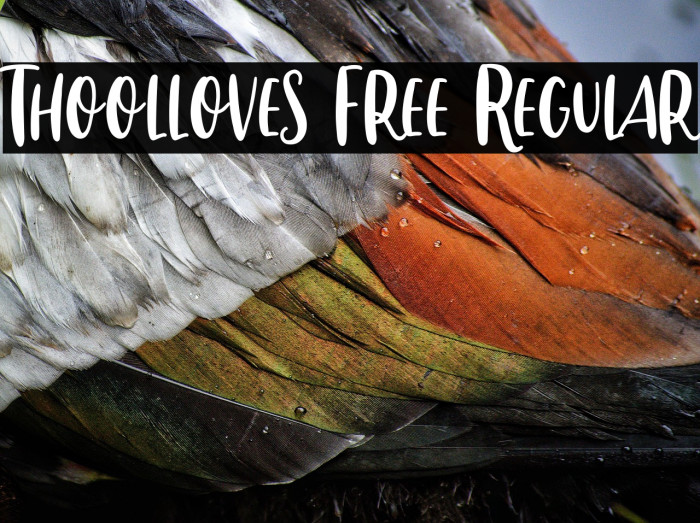 Thoolloves Free Regular Example 1