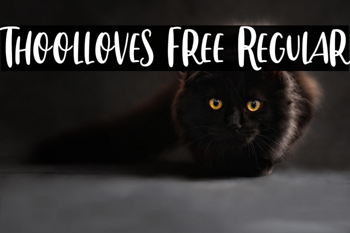 Thoolloves Free Regular Example 2