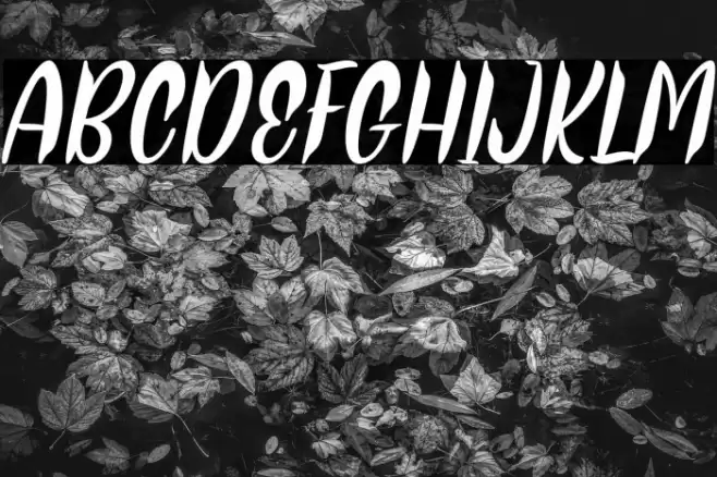 Thor Matter Italic Font examples