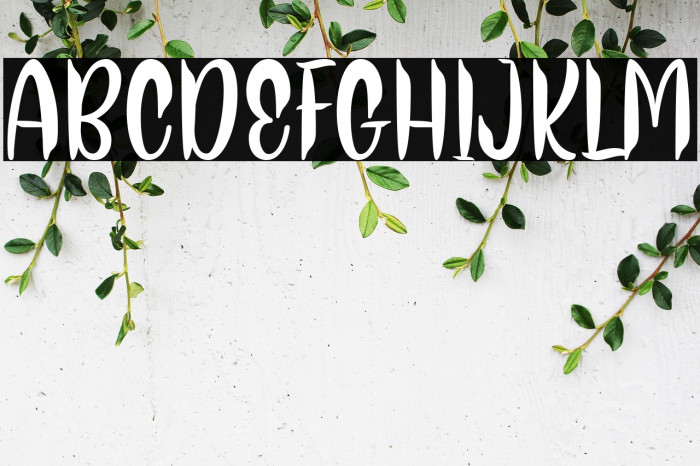 Thor Matter Example 3