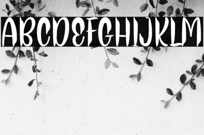 Thor Matter Font examples