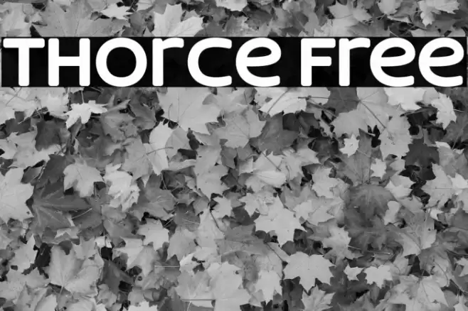 Thorce Free Font examples