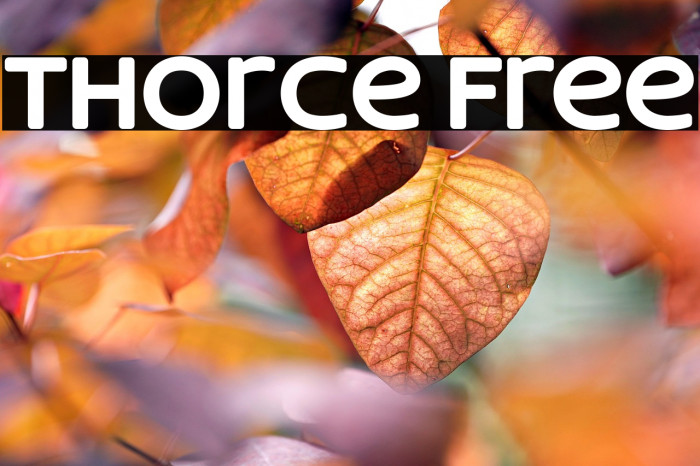 Thorce Free Example 3