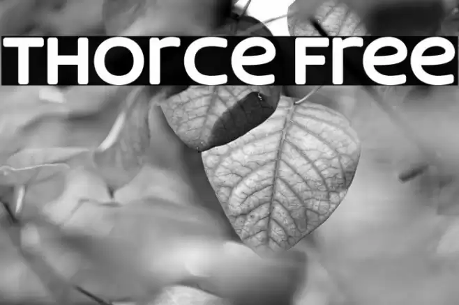 Thorce Free Font examples