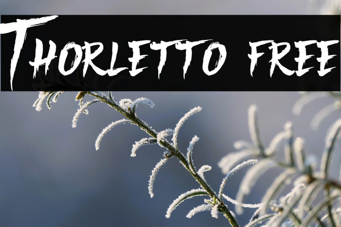 Thorletto [free] Example 1