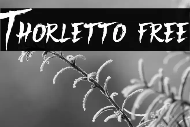 Thorletto [free] Font examples