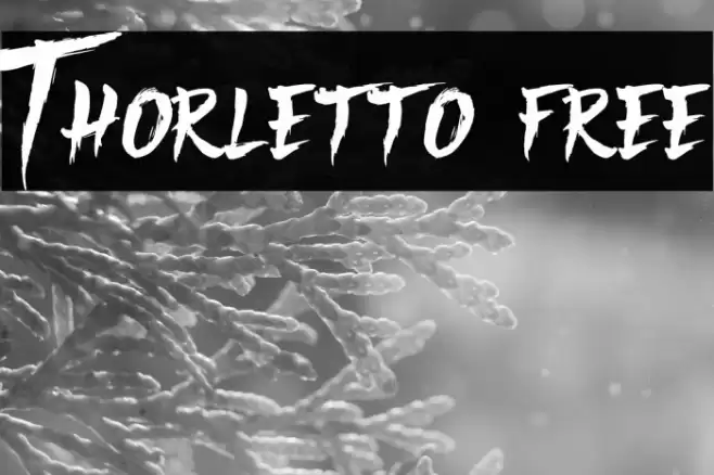 Thorletto [free] Font examples