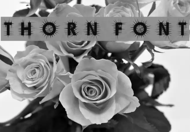 Thorn Font examples