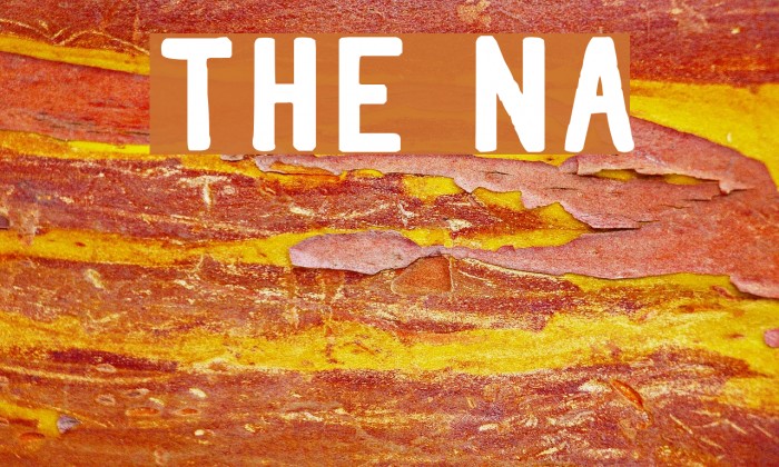 Thorne Normal Font examples