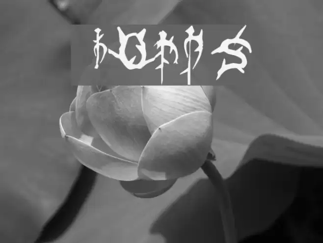 Thorns Font examples