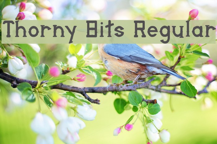Thorny Bits Regular Font examples