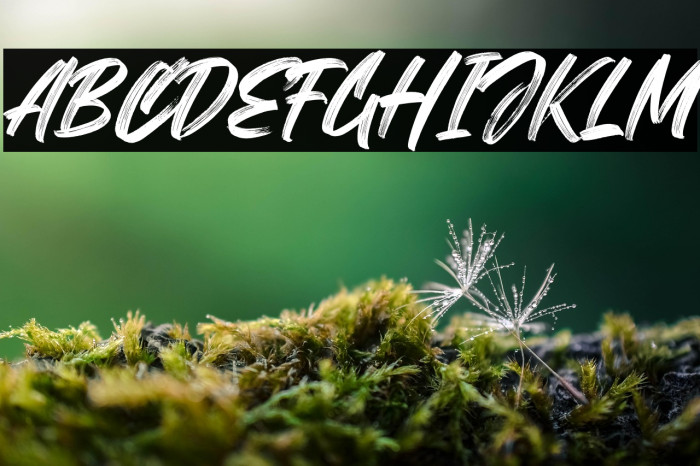 ThornyRock Example 2