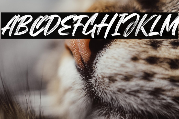 ThornyRock Example 3