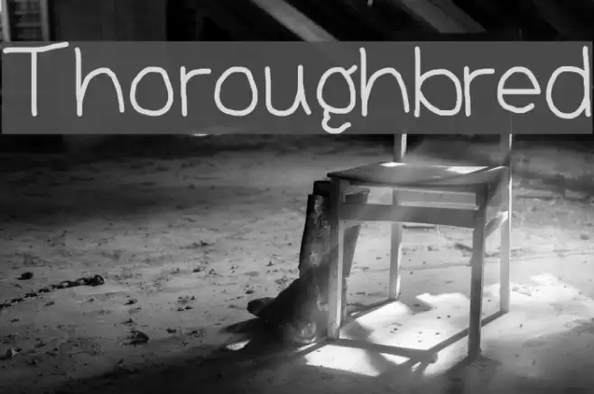 Thoroughbred Font examples