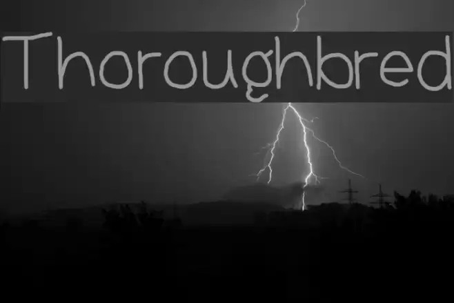 Thoroughbred Font examples