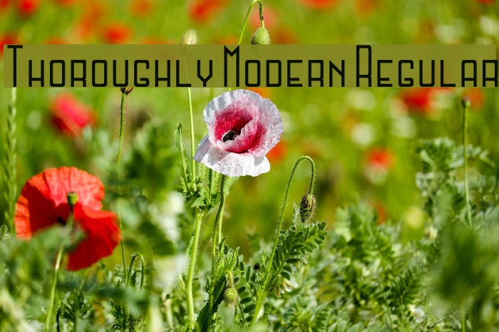 Thoroughly Modern Regular Font examples