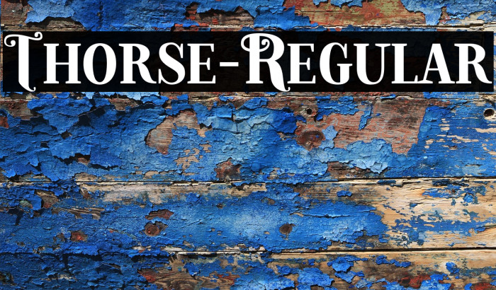 Thorse-Regular Example 1