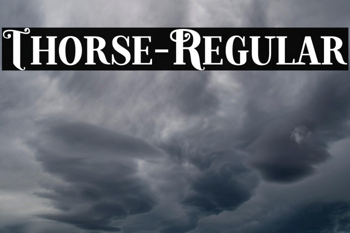 Thorse-Regular Example 2