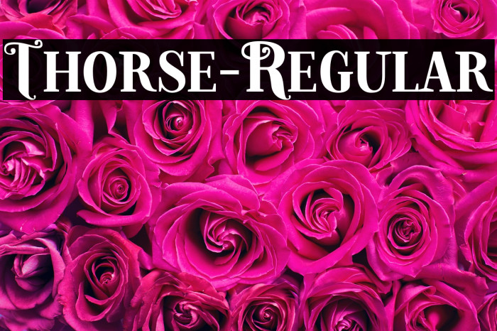 Thorse-Regular Example 3