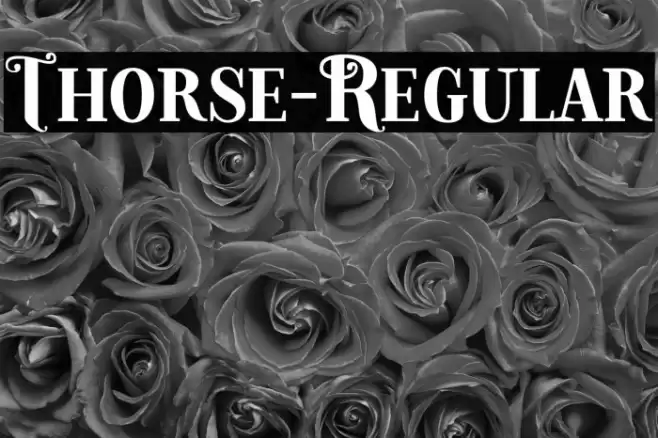 Thorse-Regular Font examples
