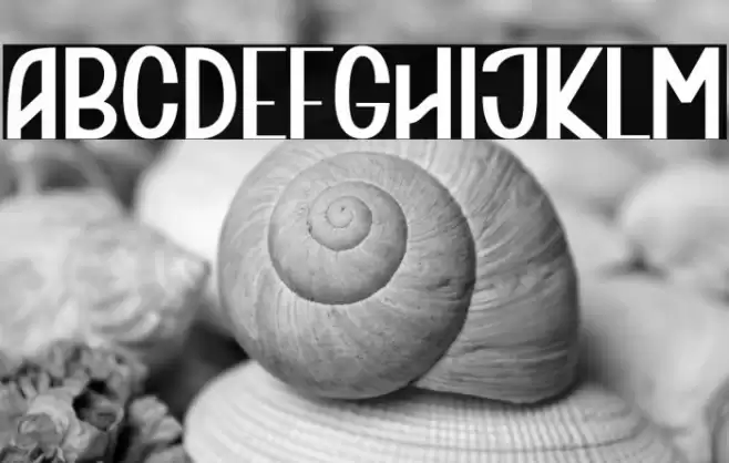 Thorsley Font examples