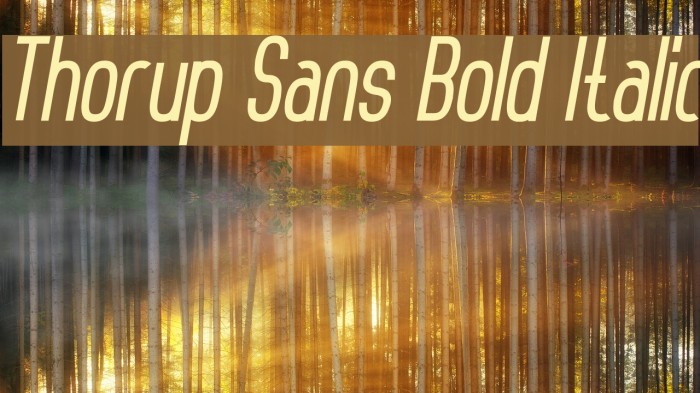 Thorup Sans Bold Italic Example 1