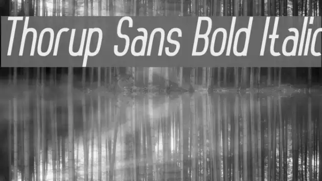 Thorup Sans Bold Italic Font examples