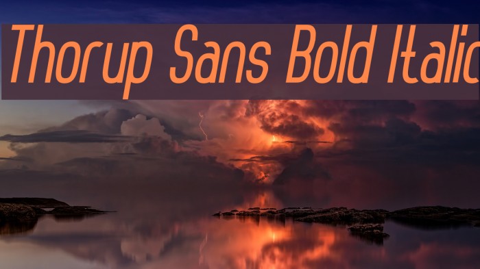 Thorup Sans Bold Italic Example 3