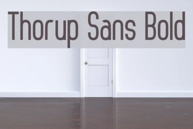 Thorup Sans Bold Example 1