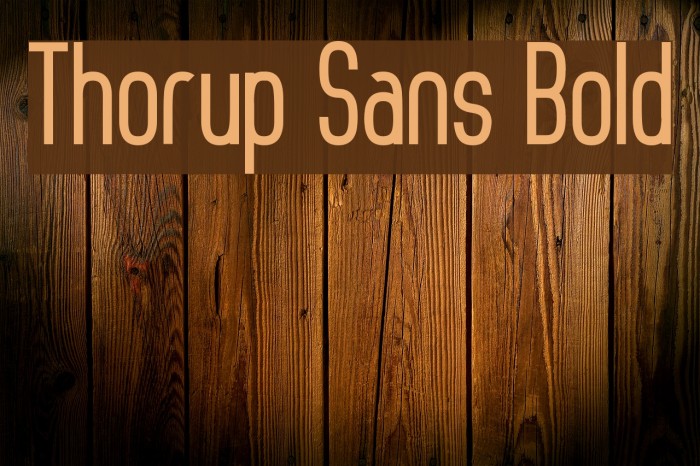 Thorup Sans Bold Font examples