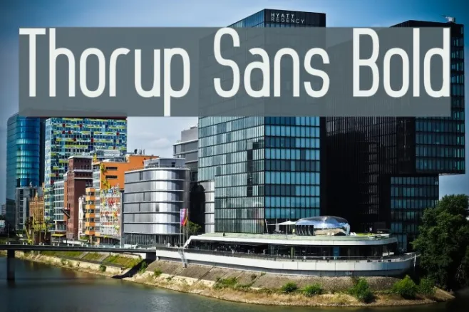 Thorup Sans Bold Example 3