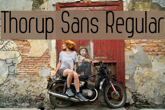 Thorup Sans Regular Example 1