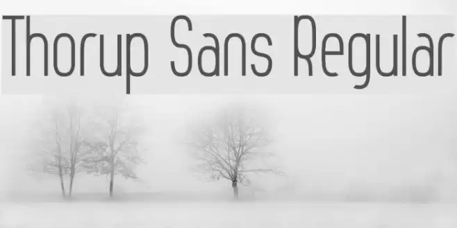Thorup Sans Regular Font examples