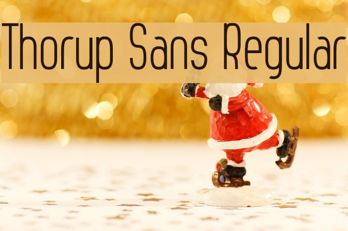 Thorup Sans Regular Example 3