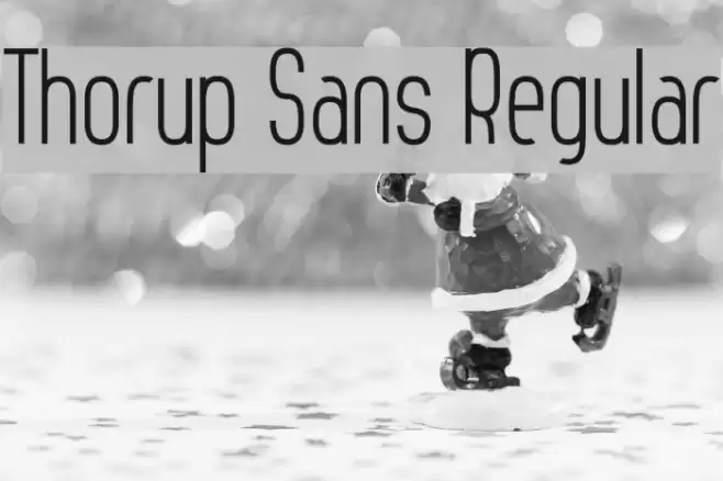Thorup Sans Regular Font examples