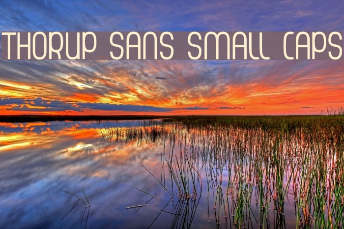 Thorup Sans Small Caps Example 1