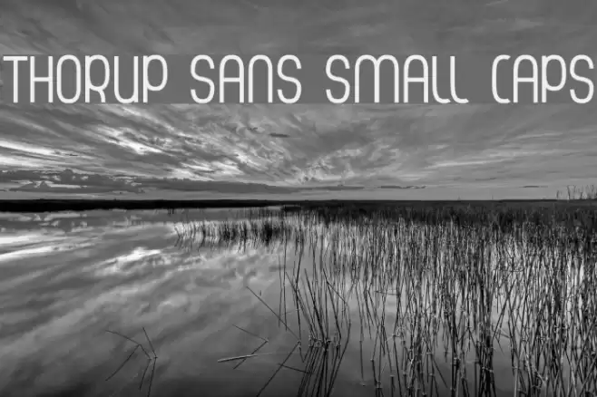 Thorup Sans Small Caps Font examples