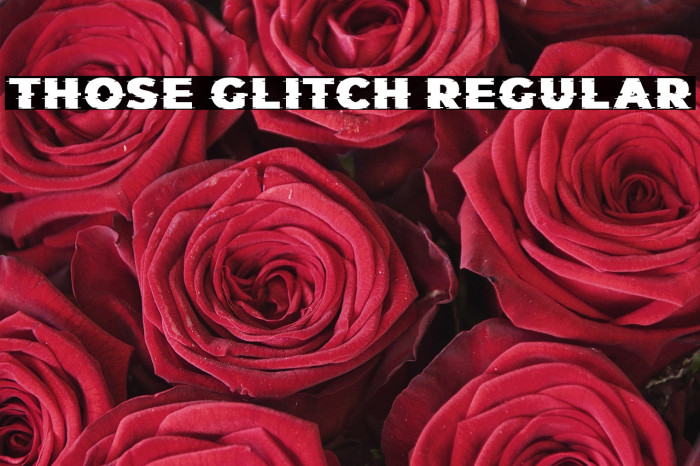 Those Glitch Regular Example 1