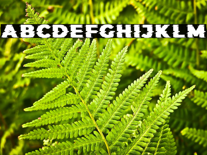 ThoseGlitch-Regular Example 3