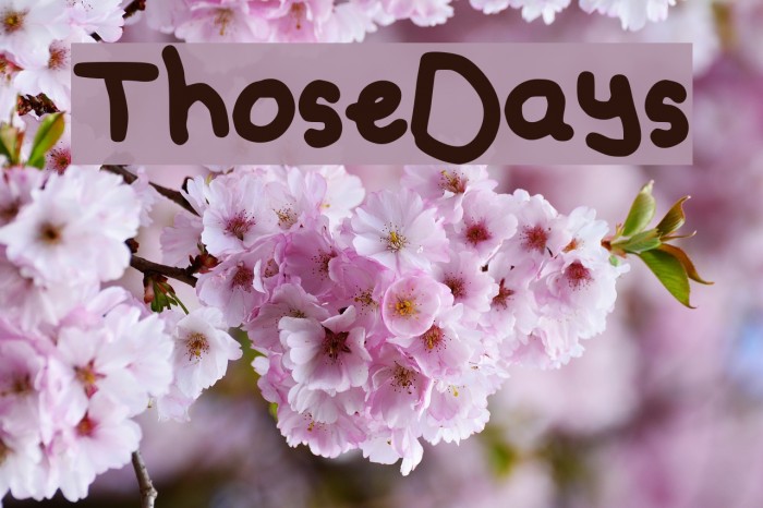 Those_Days Font examples