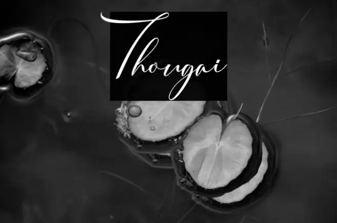 Thougai फ़ॉन्ट examples