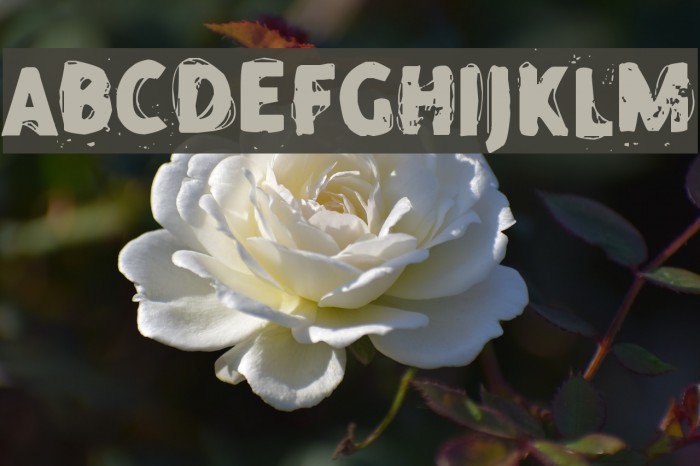 Thoughts!` Font examples