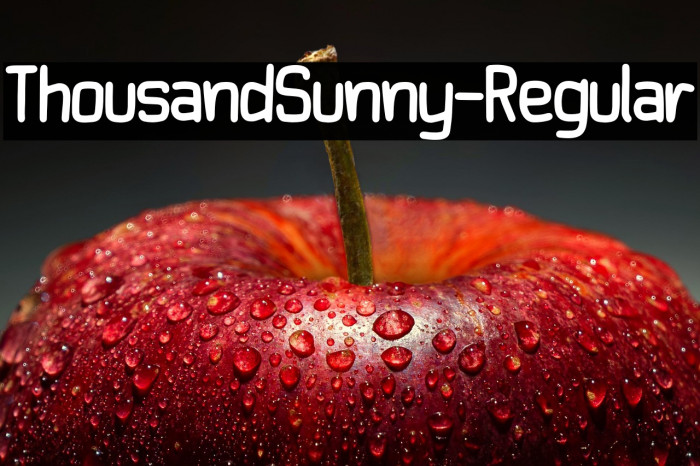 ThousandSunny-Regular Example 1