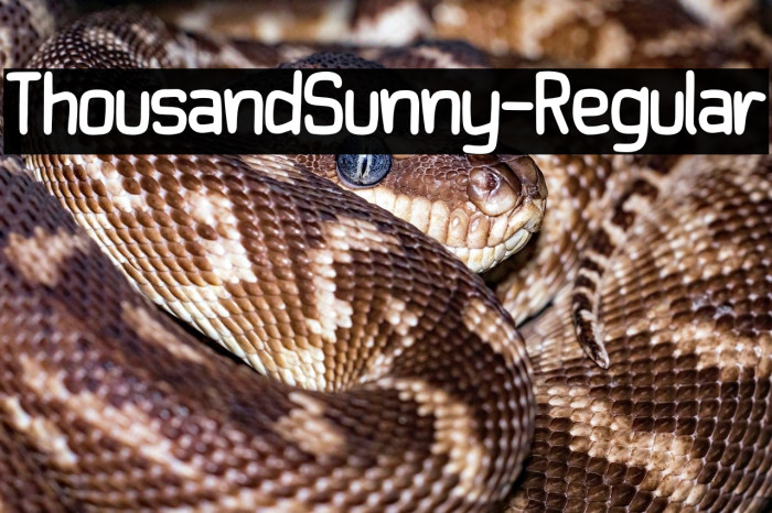 ThousandSunny-Regular Example 2