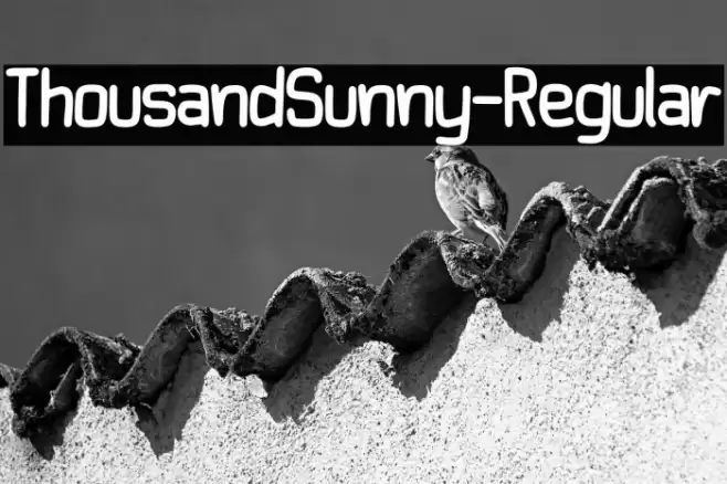 ThousandSunny-Regular Font examples